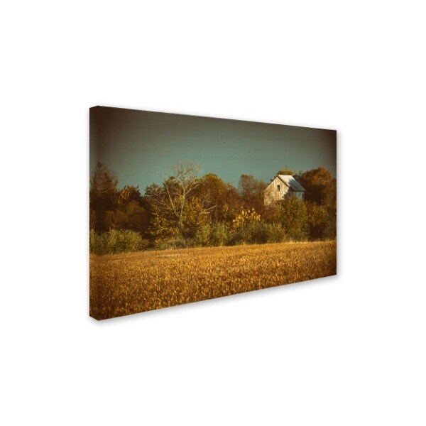 PIPA Fine Art 'Abandoned Barn In The Trees' Canvas Art,16x24